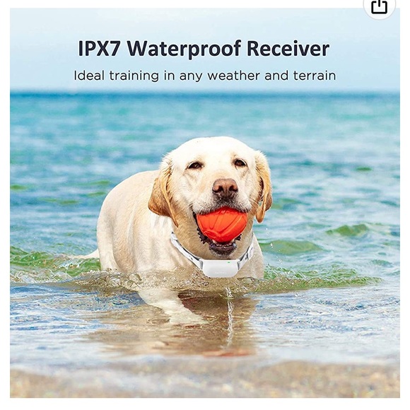 Pinch Dog Collar. NWOT - Picture 5 of 7